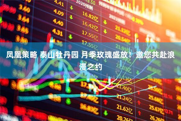 凤凰策略 泰山牡丹园 月季玫瑰盛放！邀您共赴浪漫之约