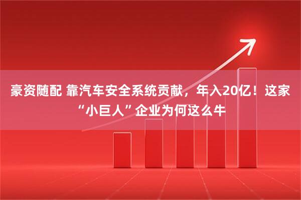 豪资随配 靠汽车安全系统贡献，年入20亿！这家“小巨人”企业为何这么牛