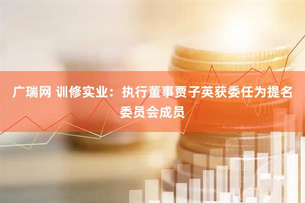 广瑞网 训修实业：执行董事贾子英获委任为提名委员会成员