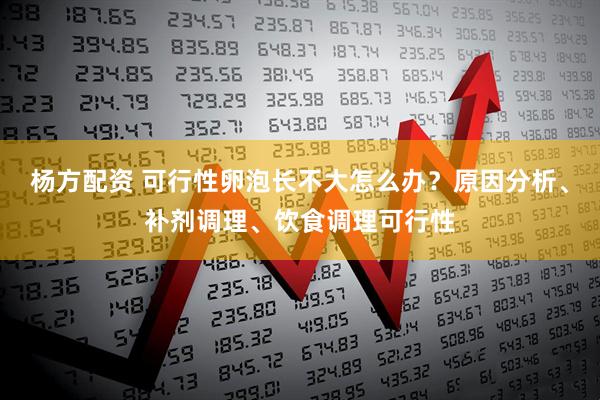 杨方配资 可行性卵泡长不大怎么办？原因分析、补剂调理、饮食调理可行性