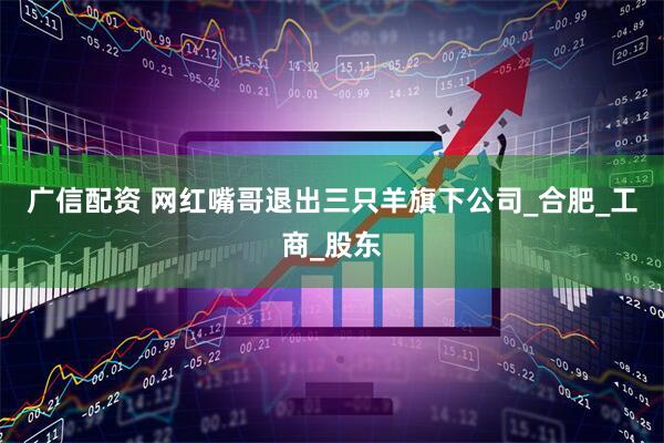 广信配资 网红嘴哥退出三只羊旗下公司_合肥_工商_股东