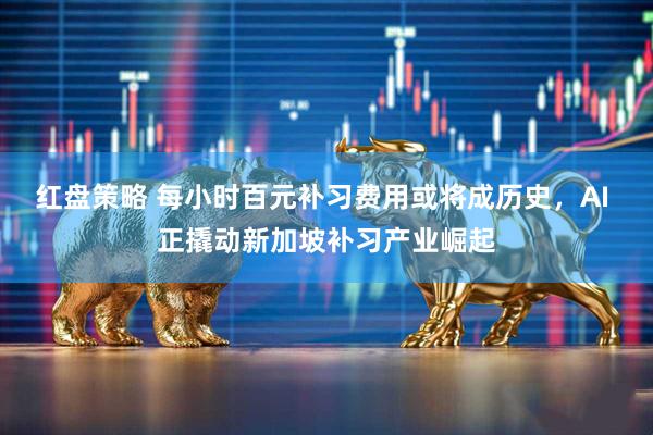 红盘策略 每小时百元补习费用或将成历史,AI 正撬动新加坡补习产业崛起