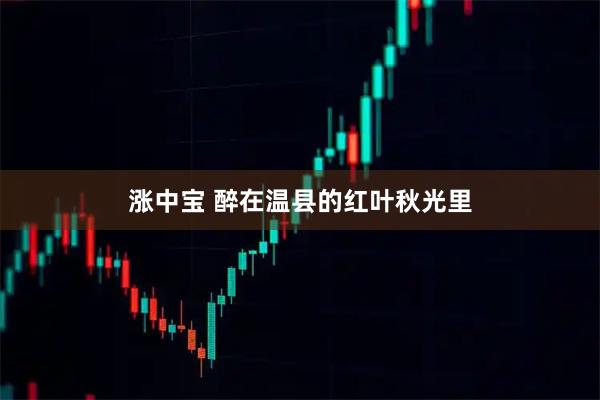 涨中宝 醉在温县的红叶秋光里