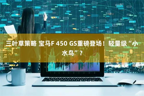 三叶草策略 宝马F 450 GS重磅登场!轻量级“小水鸟”?