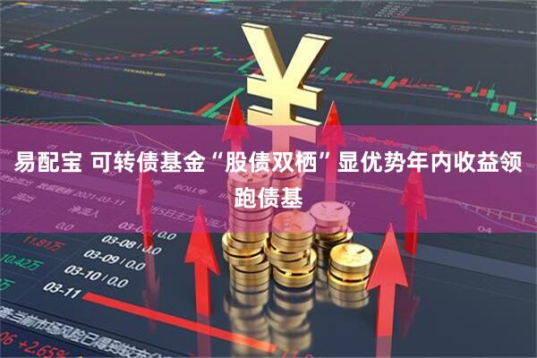 易配宝 可转债基金“股债双栖”显优势年内收益领跑债基